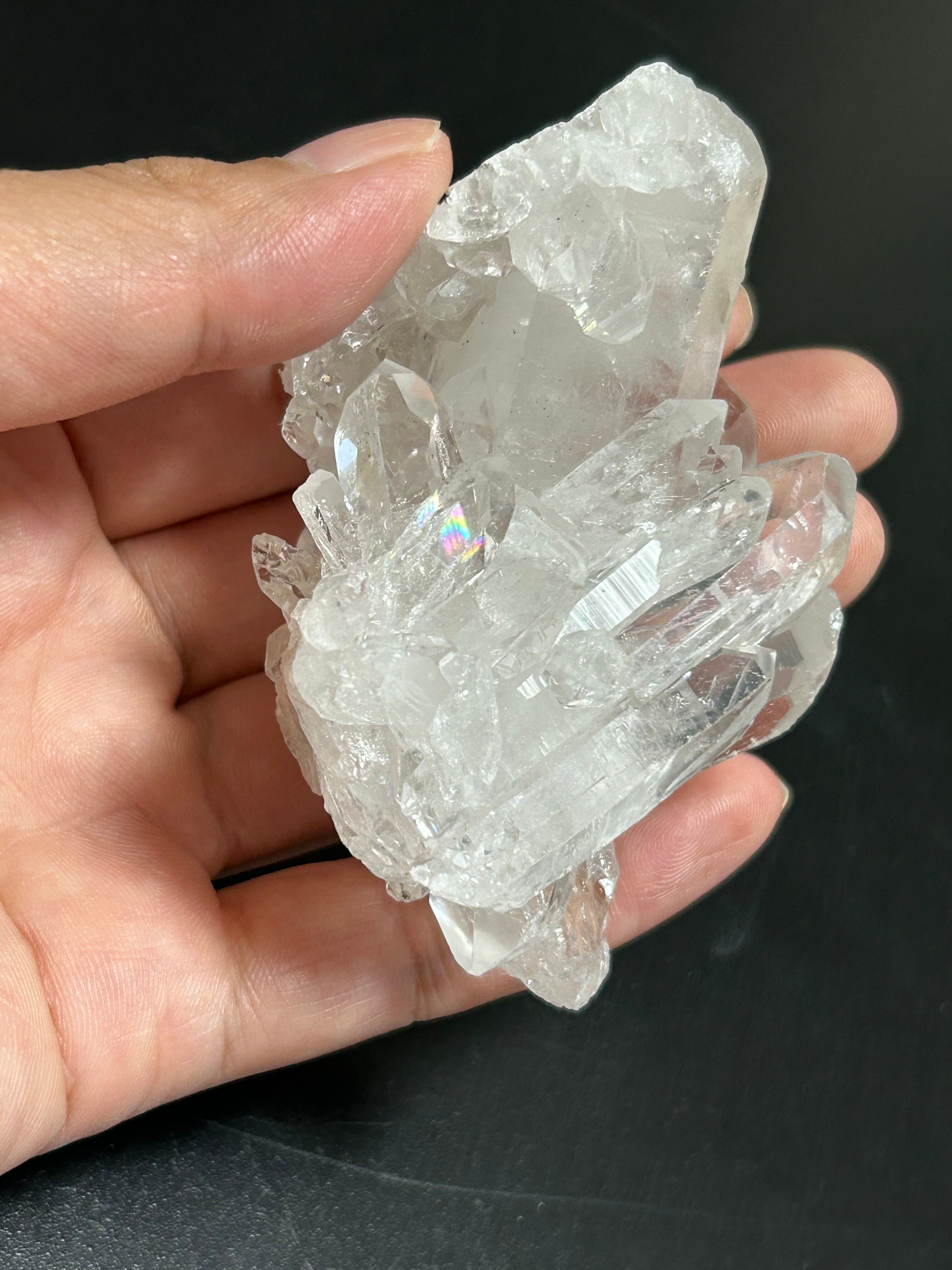 高品質 トマスゴンサガ産クラスターカッコいい3