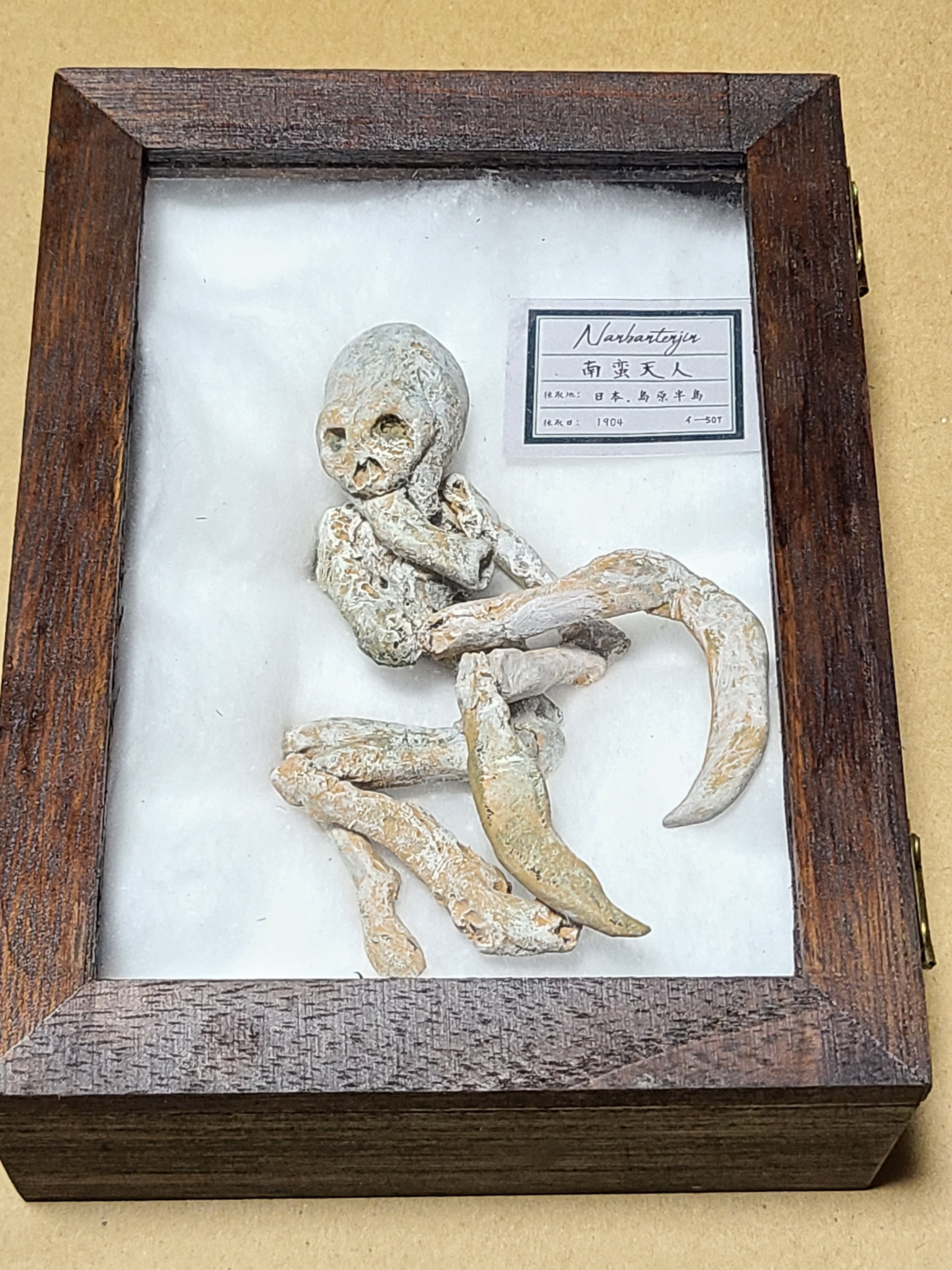 南蛮天人 木乃伊(ミイラ) 怪奇標本 イ―507 | Pay ID