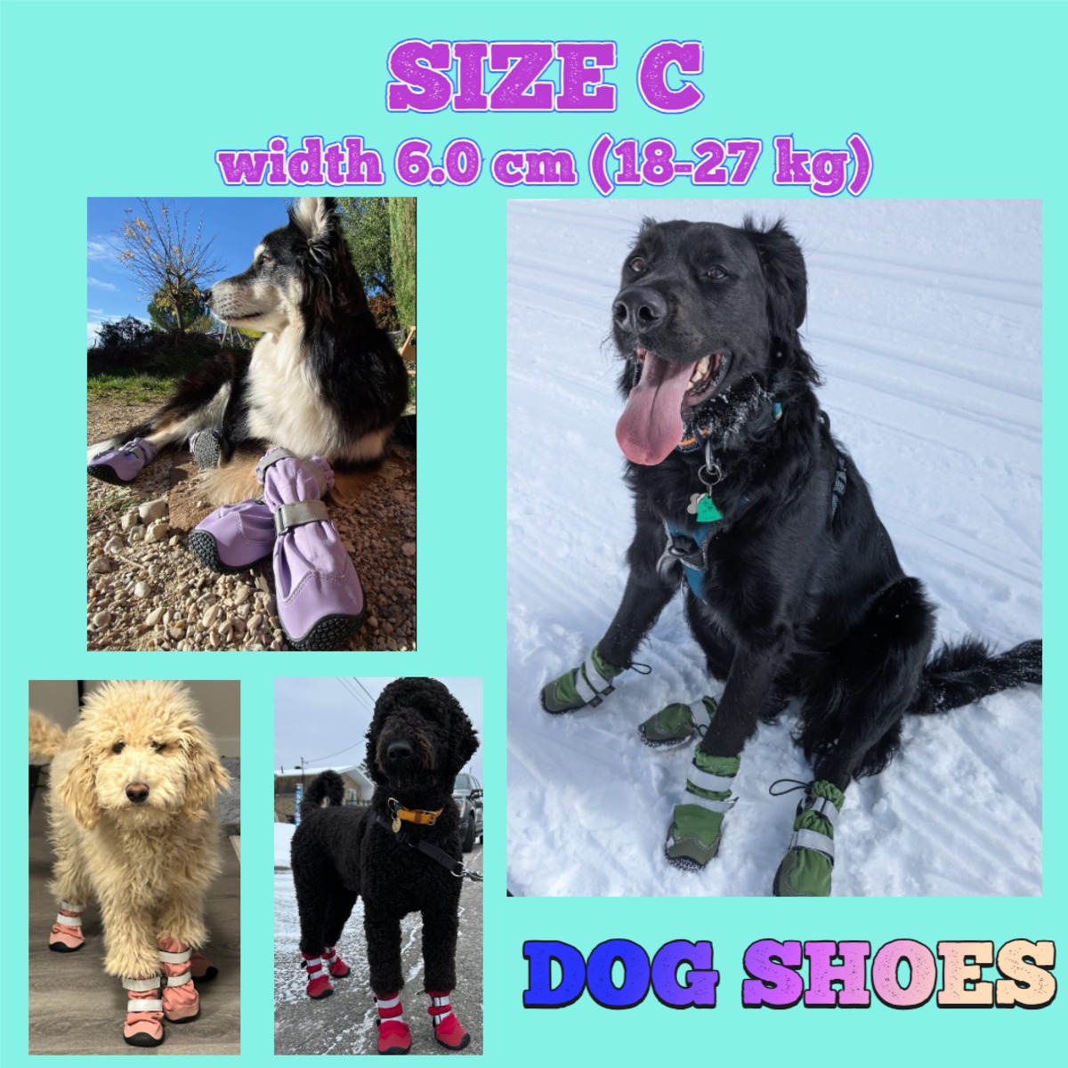 ドックシューズ ドッグシューズ【SIZE C】 | CALIFORNIA DOG MARKET