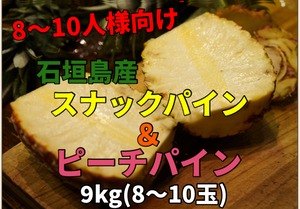 【送料無料】石垣島のスナック＆ピーチパイン２種食べ比べ9kgセット(8〜10玉)