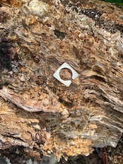 tetragon ring (229)