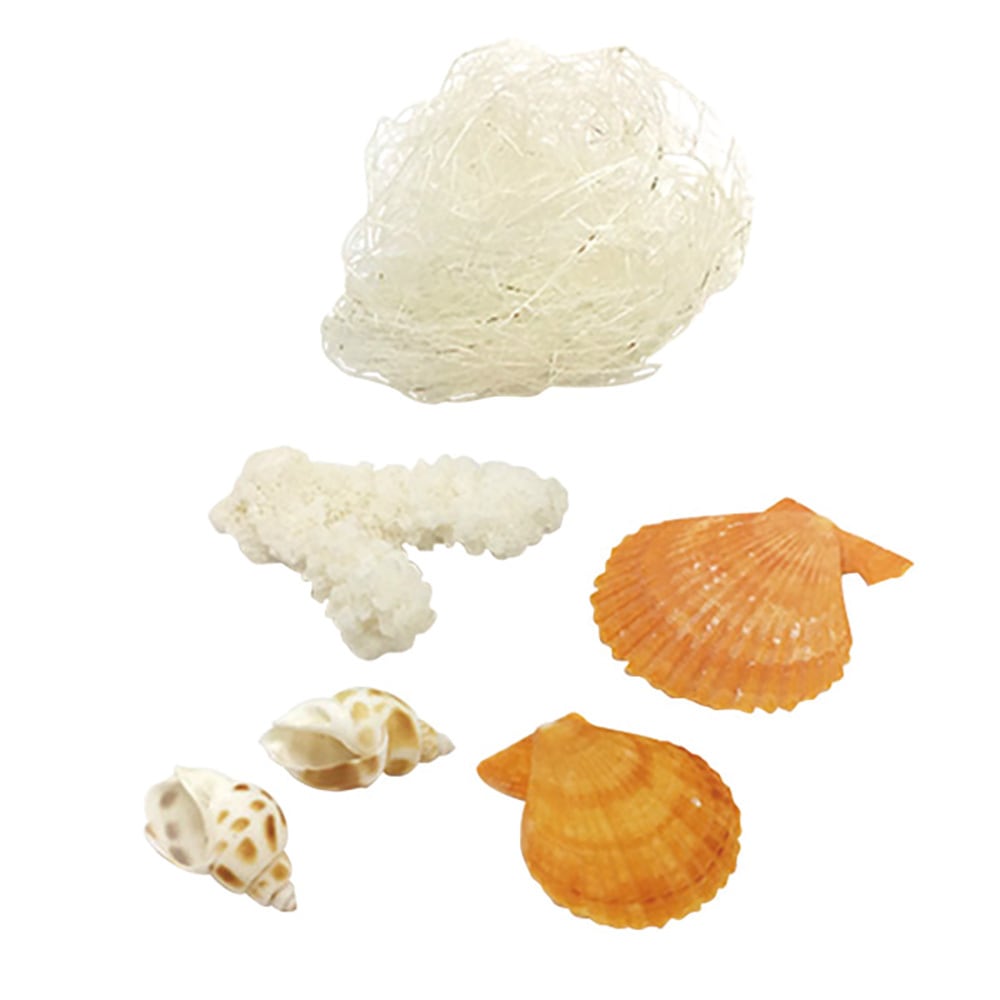 貝、天然珊瑚など