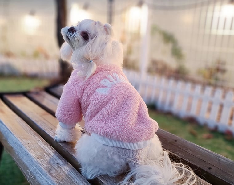 【SALE】ARIZONAトレーナー S ~ XL 3color / 犬服 冬 新作 もこもこ フリース 暖かい トップス ドッグウェア ワンコ服 犬 服 長袖 お揃い b24