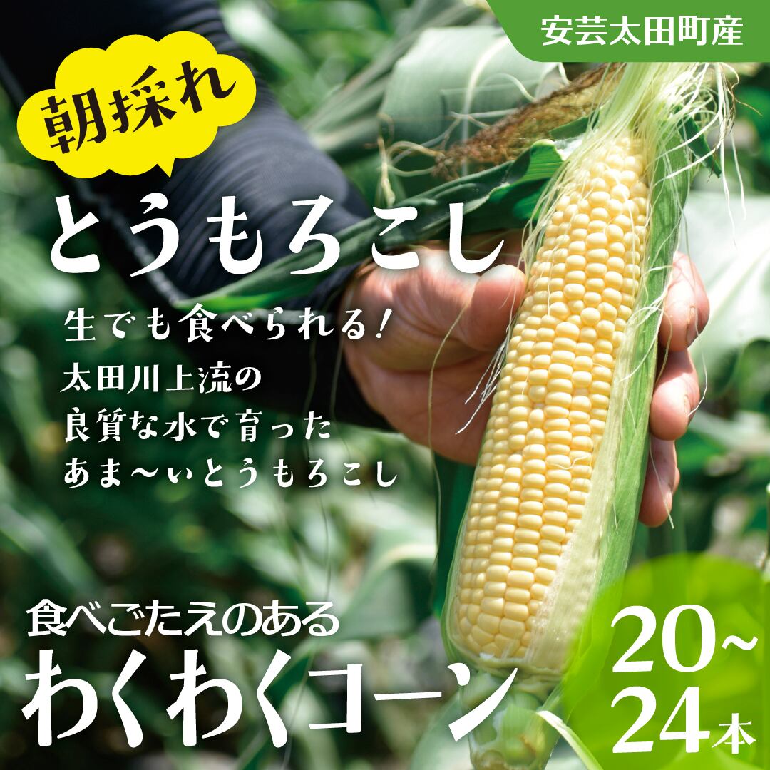 送料半額】朝採れとうもろこし10本～12本（わくわくコーン