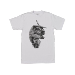 DI-PACオールドスクール　　Tシャツ　WHITE