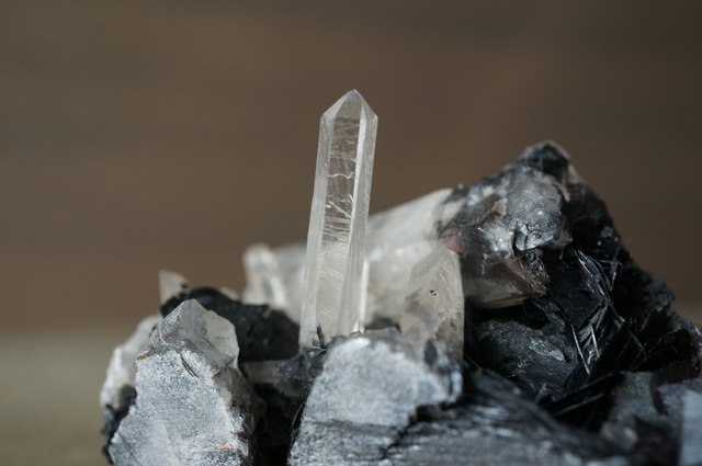 アイアンローズ/クォーツ Iron Rose/Quartz 2056