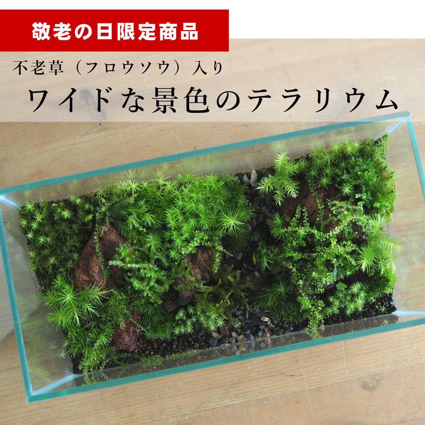 ミニチュアの家フィギュア4種セット【苔テラリウム用】 | PAY ID
