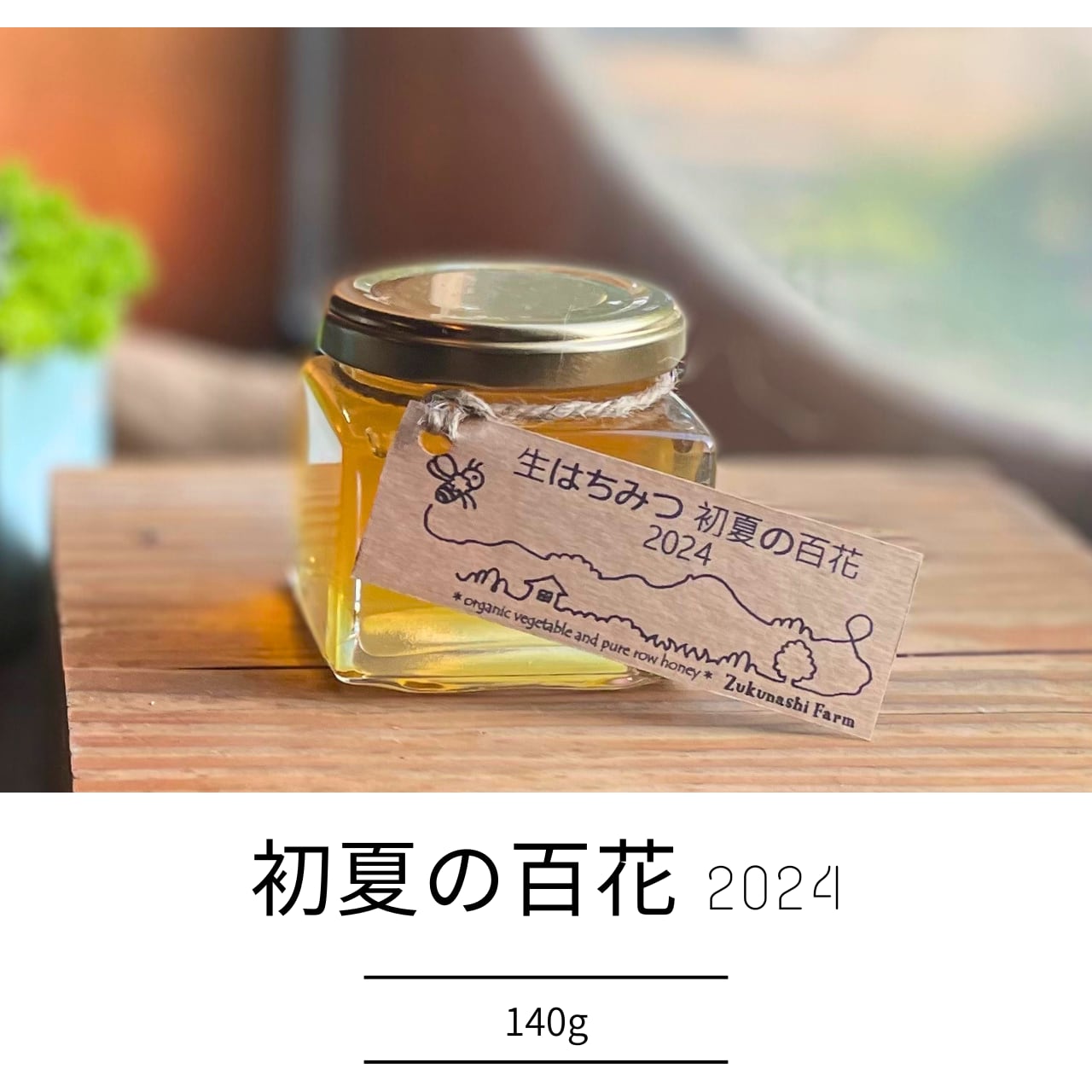 信州産 純粋生はちみつ『初夏の百花2024』140g（薬剤不使用、花粉無