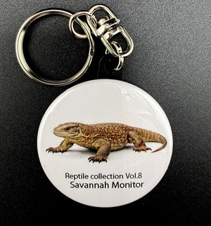 サバンナモニター 缶バッチキーホルダー Reptile collection Vol.8 / Savannah Monitor