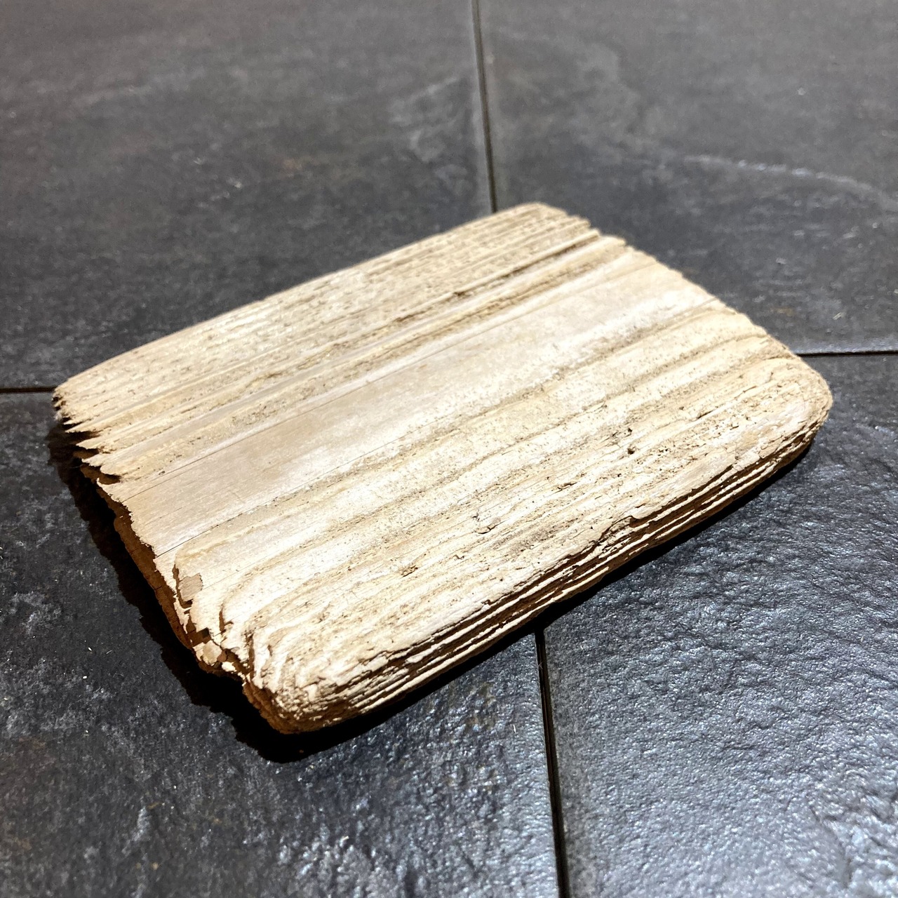 コースター型の流木 11㎝ 【雑貨素材・インテリア】 №34 | flow wood