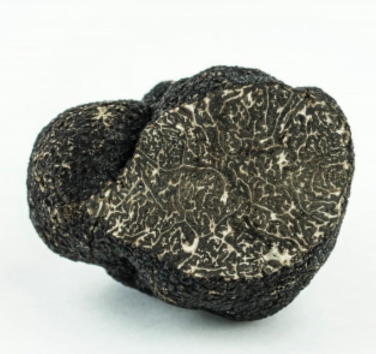 新商品 到着日4月4日(土) 『期間限定』黒トリュフチーズケーキ抽選申込 画像1