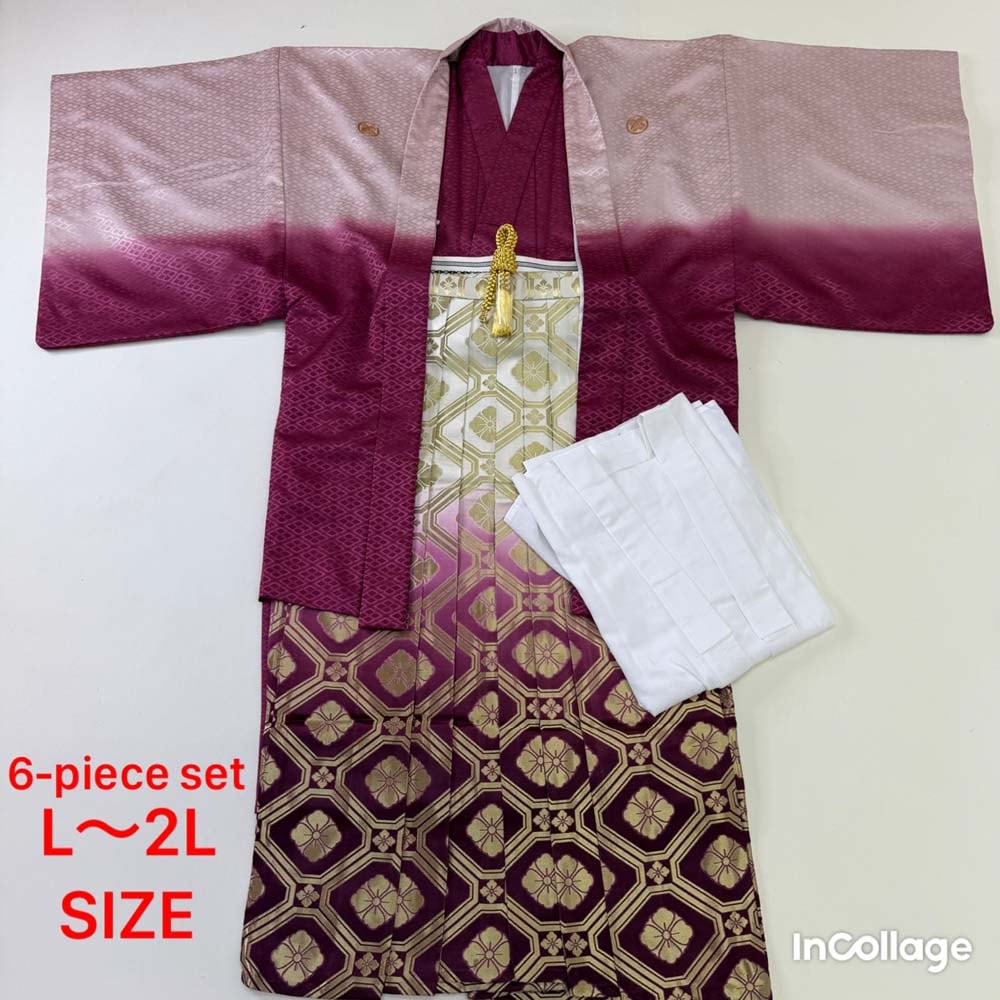 紋付袴 6点セット 着物 羽織 袴 長襦袢 羽織紐 角帯 裄73.6cm 袴