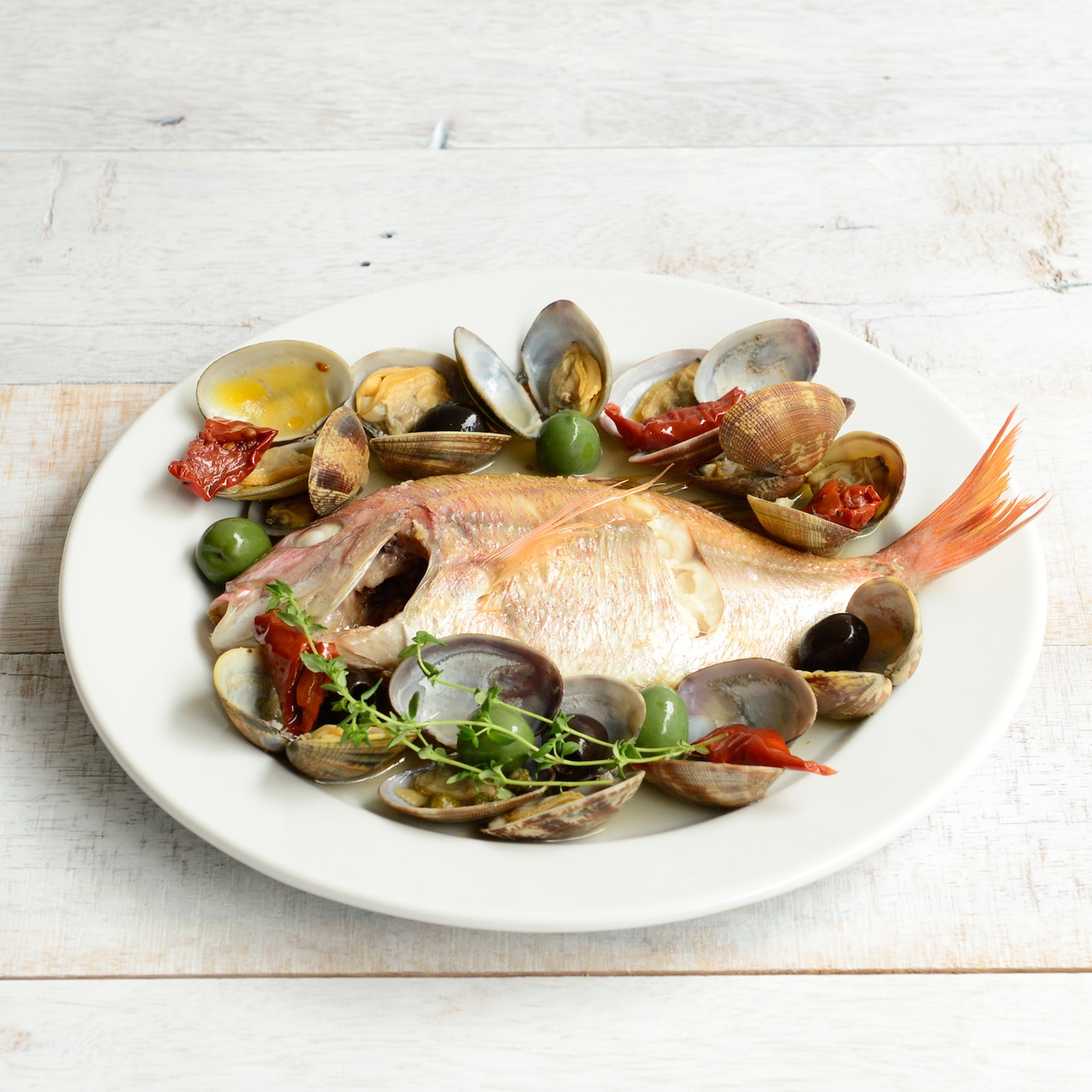 ポルバサル イサバ フラットプレート 28