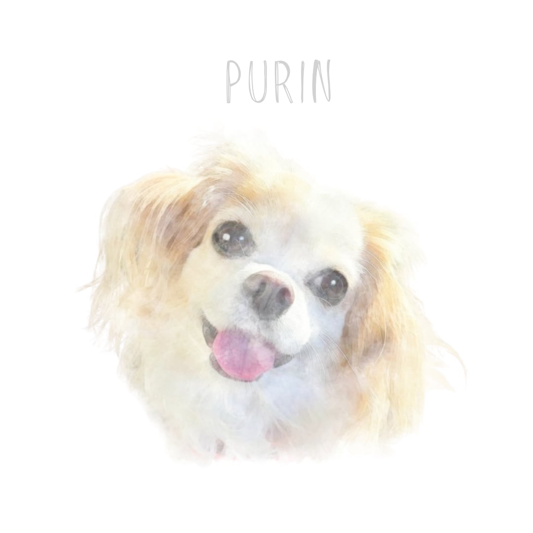 動物画、ペット画(本格水彩画) ペット似顔絵オーダー 肖像画 水彩画 虹組限定デザイン 虹の花