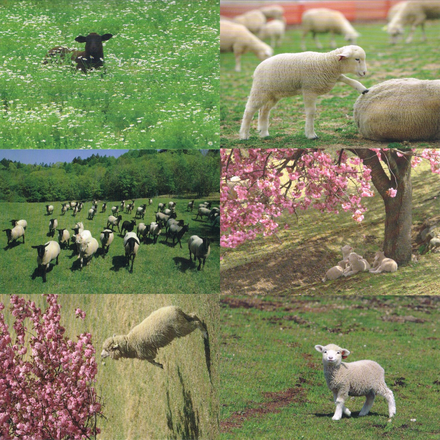 3983924580c611d69248641e22b28f