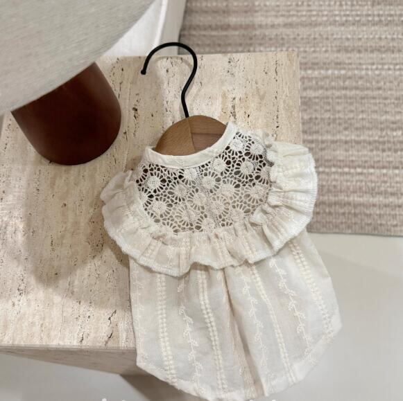 《予約》№1102840 透け感サマートップス