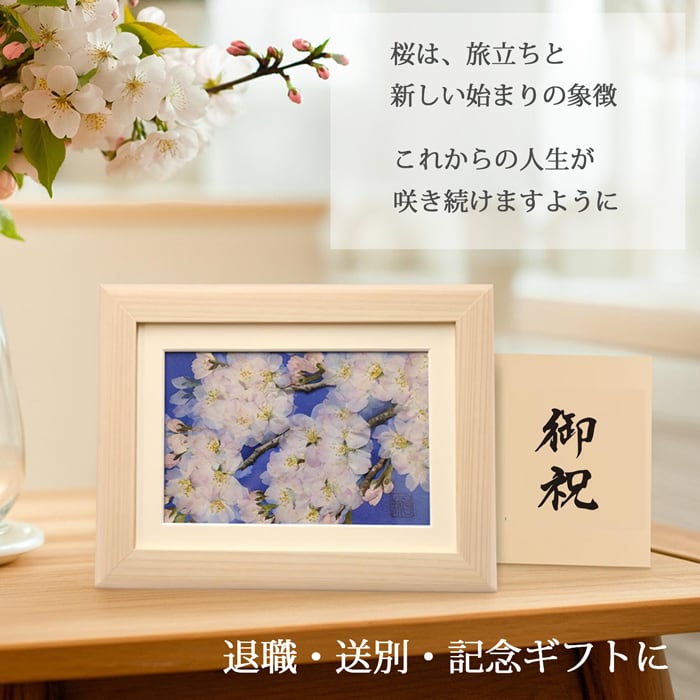 本物のお花の押し花アート｜桜（ソメイヨシノ）フレームギフト | 庄村