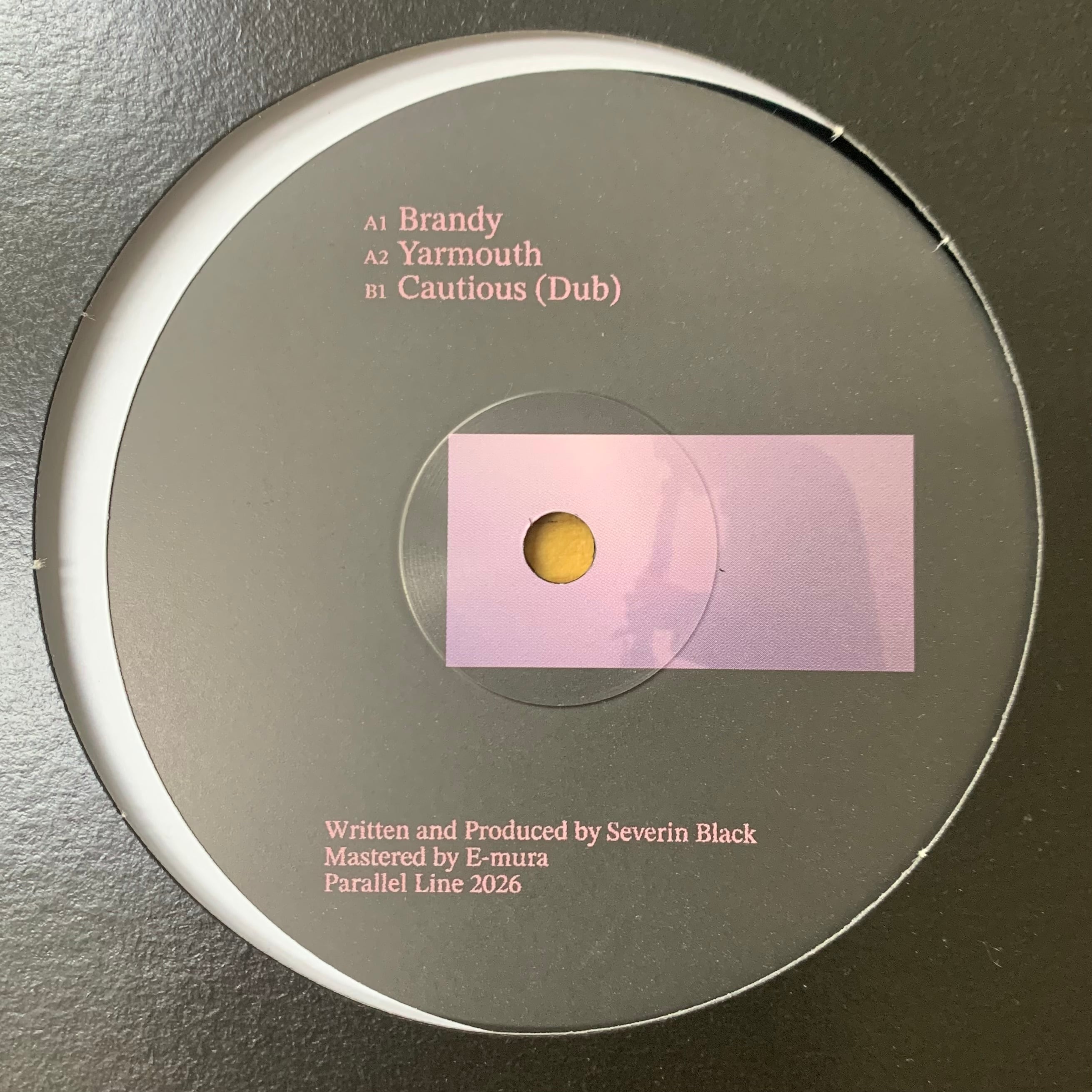円盤 Peninsula (ディスクペニンシュラ) 栃木県小山市CD/レコード