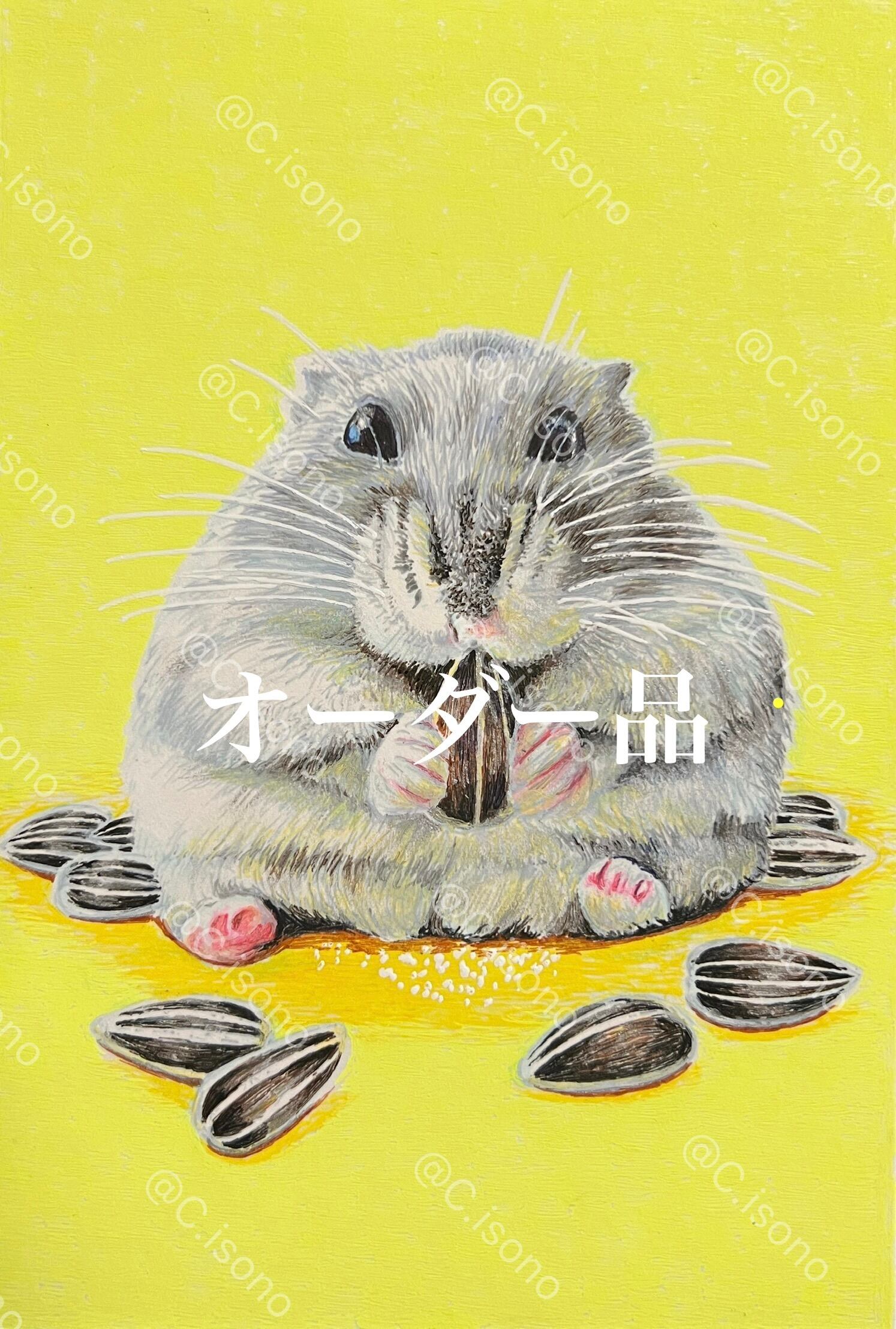 磯野キャビア ZOO