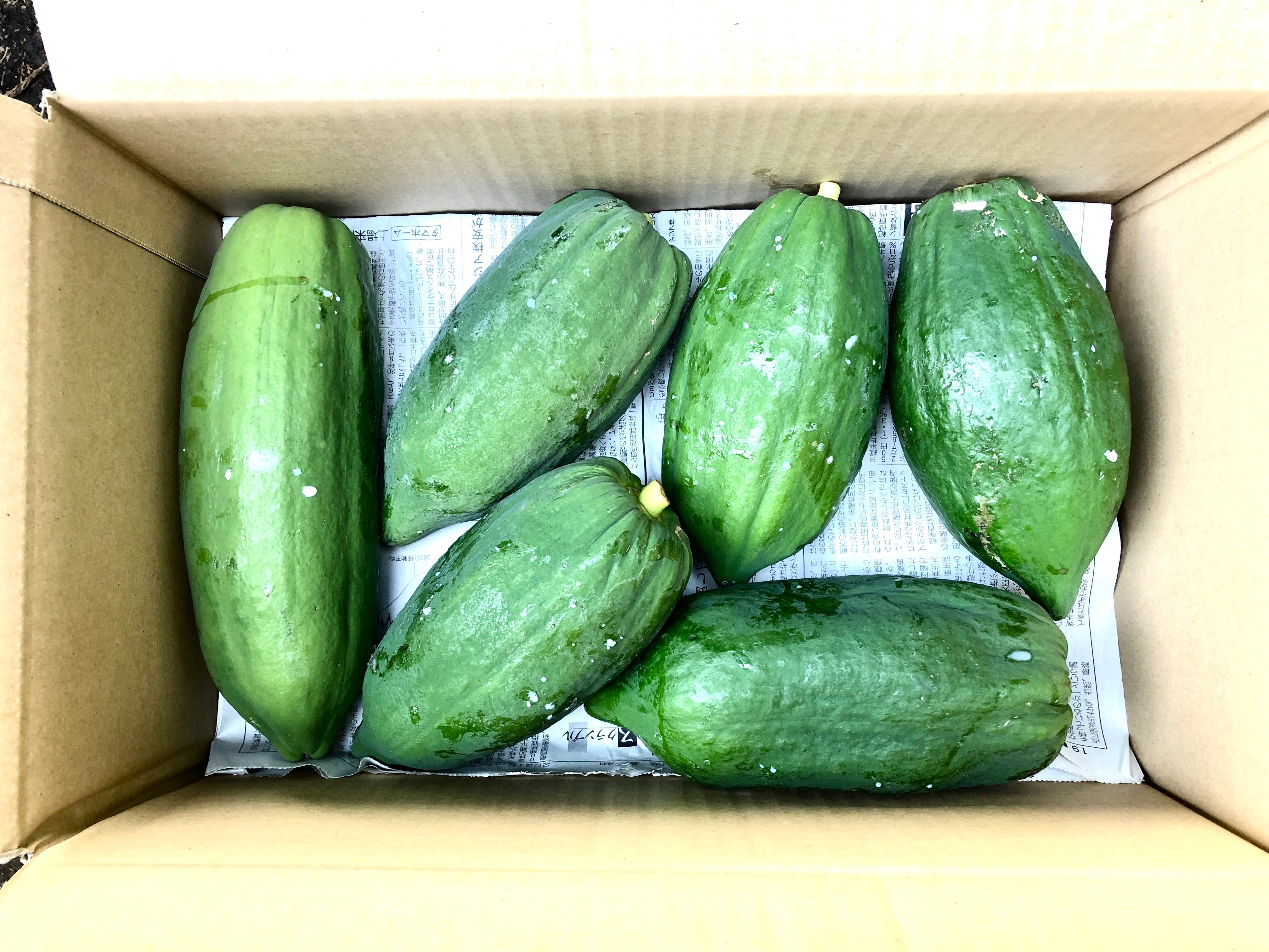 熊本県阿蘇郡西原村産 青パパイヤ(5〜6個入り約3kg)農薬・化学肥料