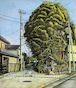 ひぐらしの聲　東久留米市中央町