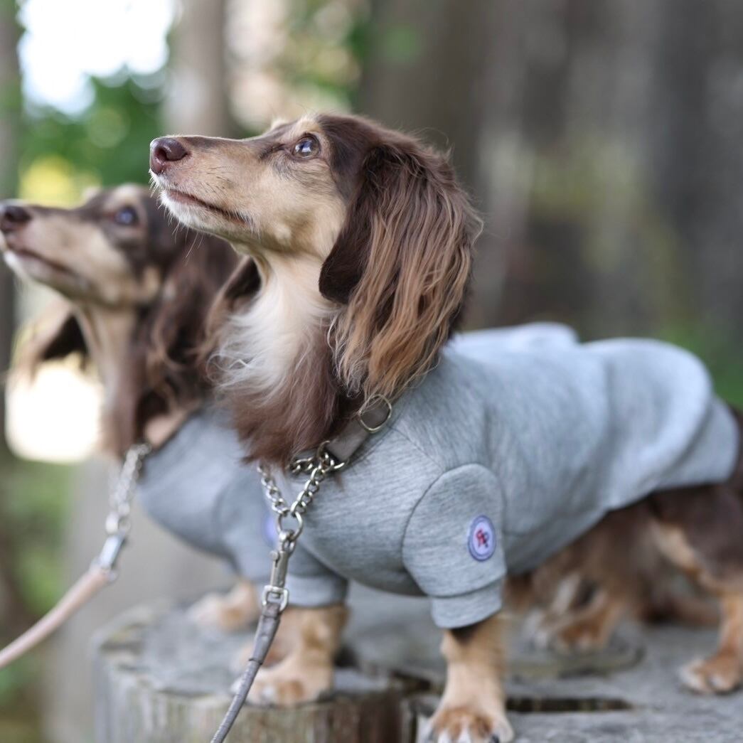 お揃いスウェット(ダンボールニット)【ご愛犬用】 | カニンヘン