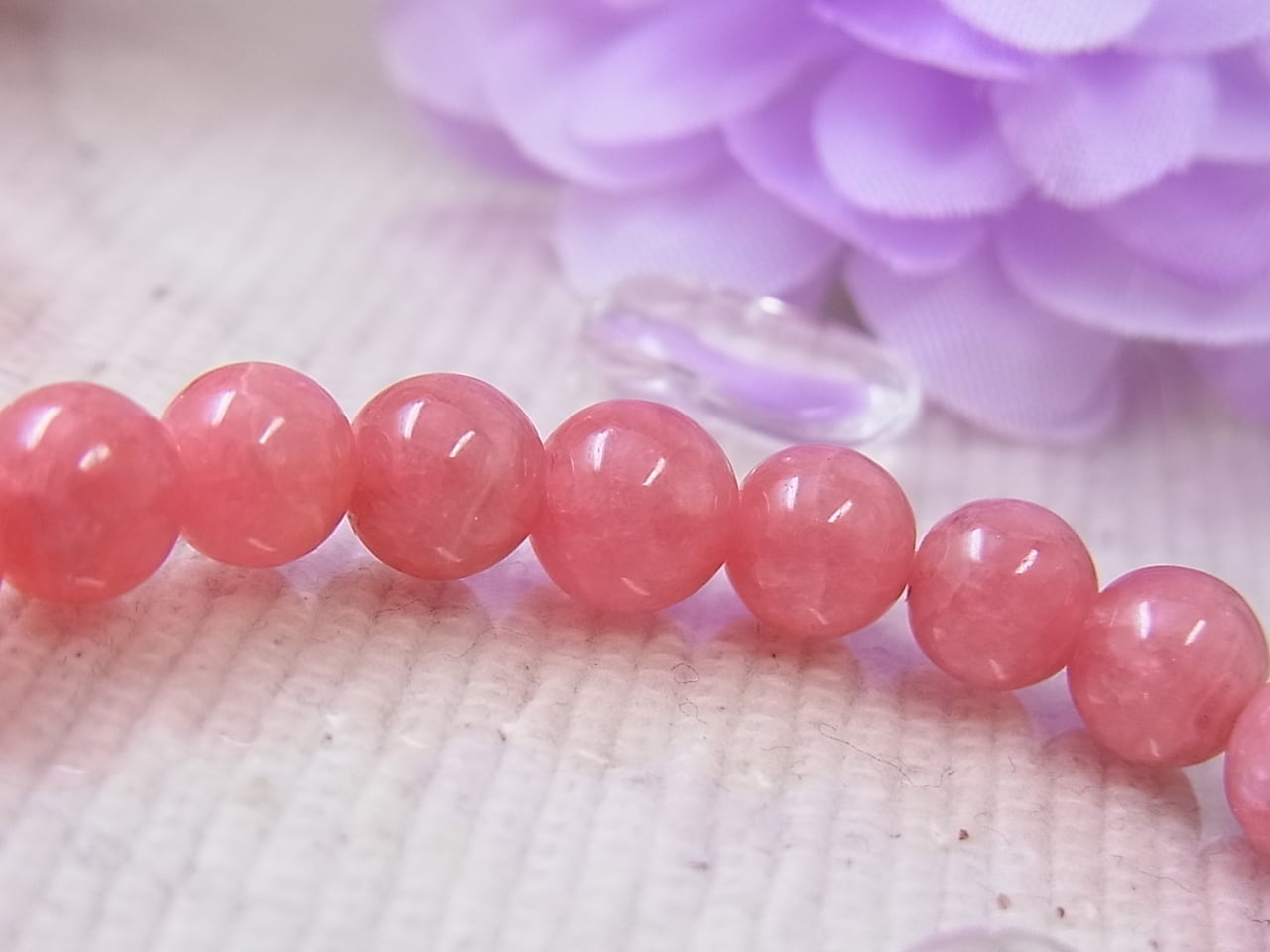 美 インカローズ アルゼンチン産】花石 小ぶりが可愛い 薔薇色の人生