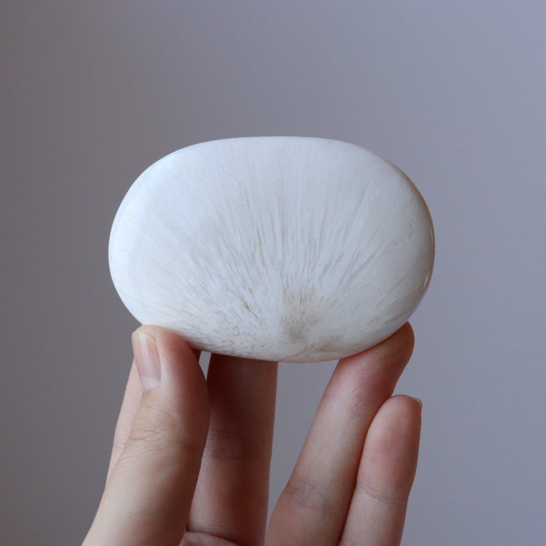 握り石 | 木霊石 KODAMA-ishi