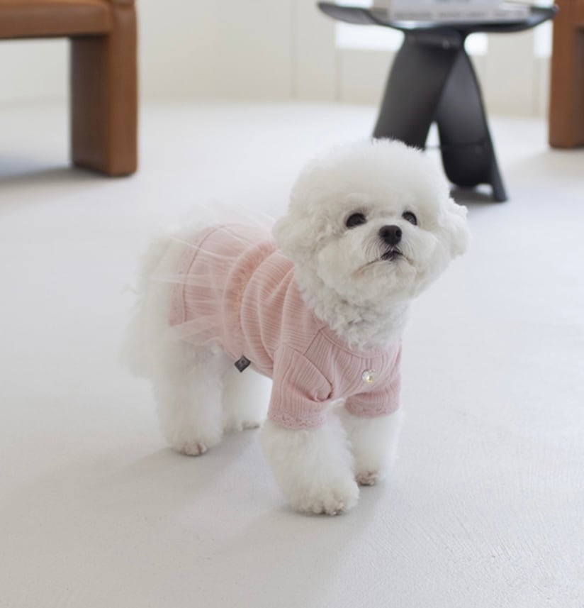 〖予約〗C0012 リアンシャツワンピース