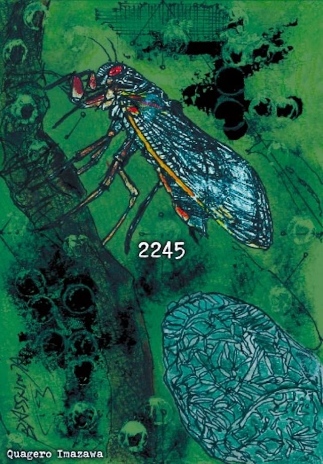 LIVE DVD「白亜」/日食なつこ 362-LDKDV(仕様:DVD) | Ratspack Records