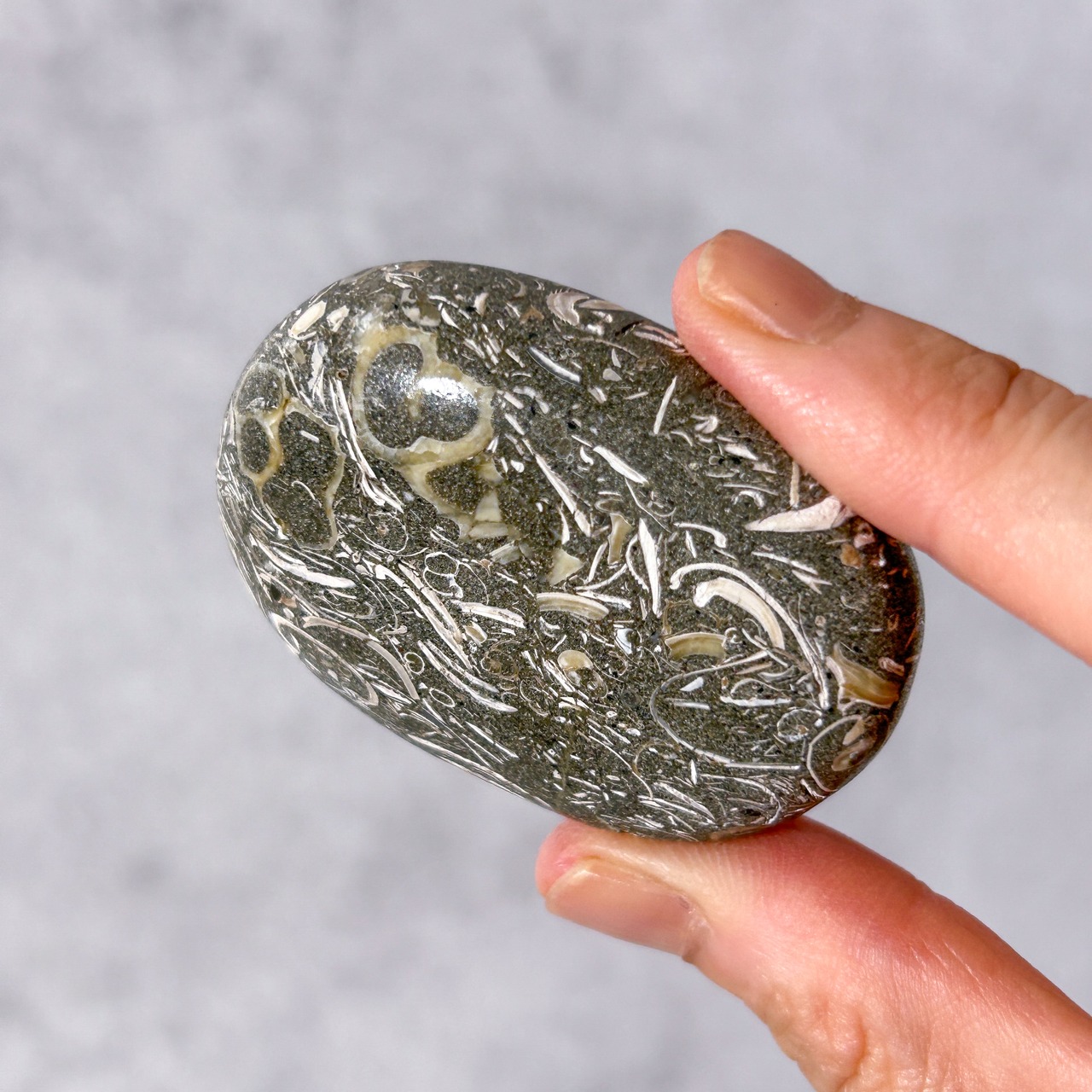 ツリテラアゲート 02 パーム * Turitella Agate * 天然石