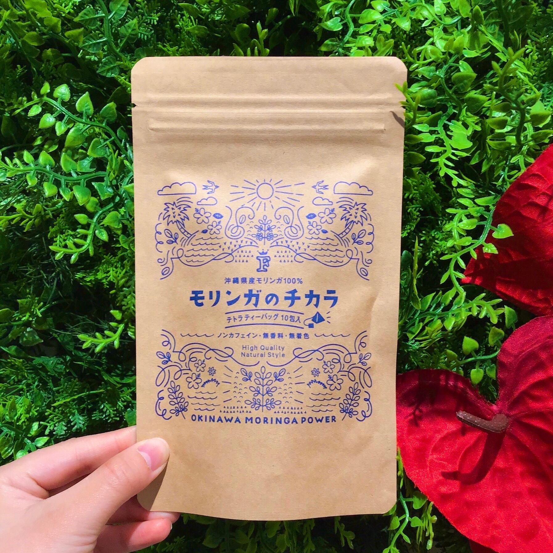 モリンガのチカラテトラ型ティーバッグ 1g 10包 The Okinawa Shop