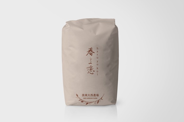 春よ恋　2等粉　25kg