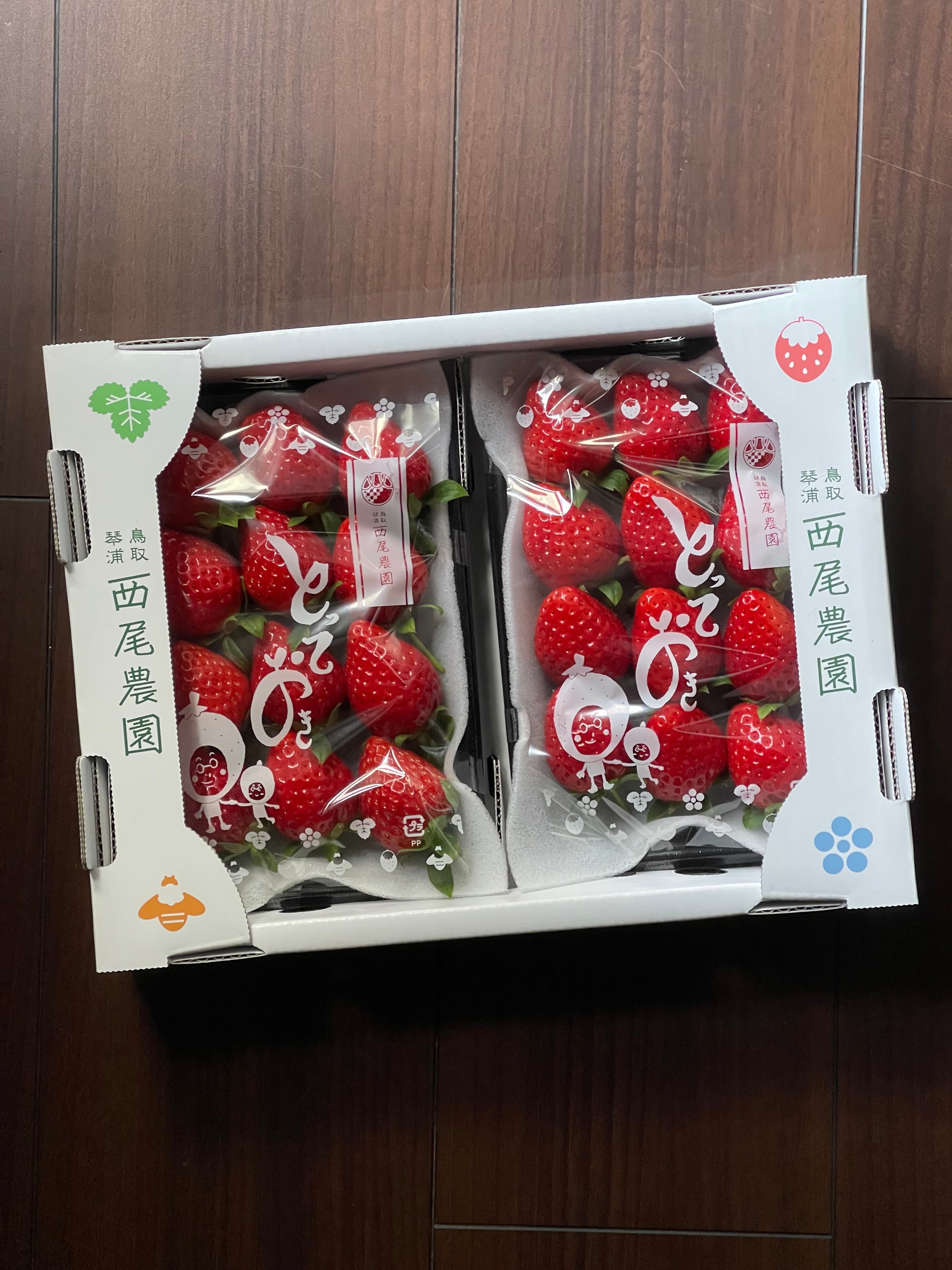 苺4トレー入り 【鳥取県オリジナル品種 とっておき】 | 240nouen