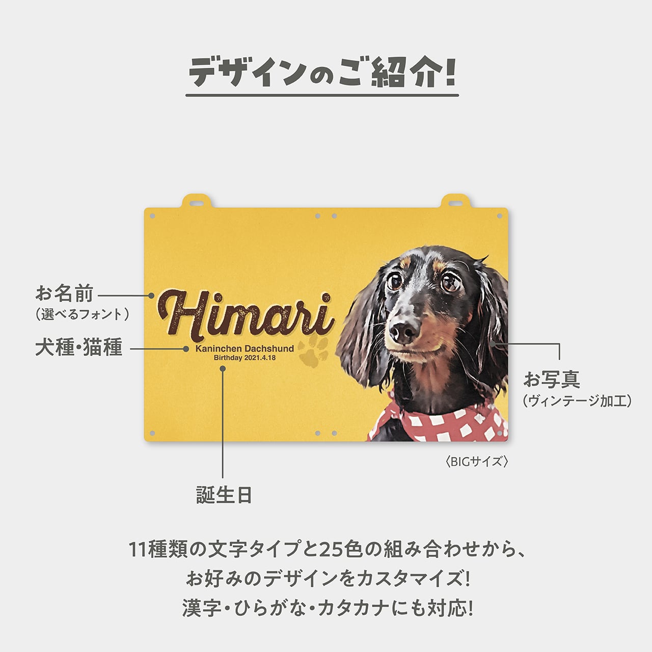 ☆光る】カート ネームプレート〈ヴィンテージ〉 | ひまわんギャラリー