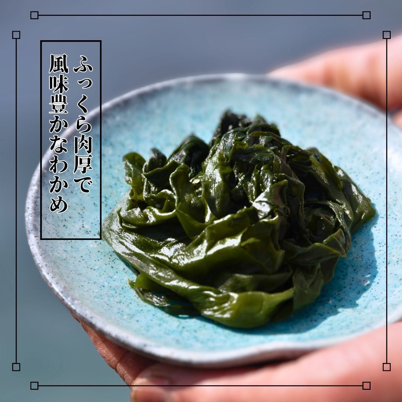 広島県倉橋島産】乾燥わかめ 50g | 山陽丸水産