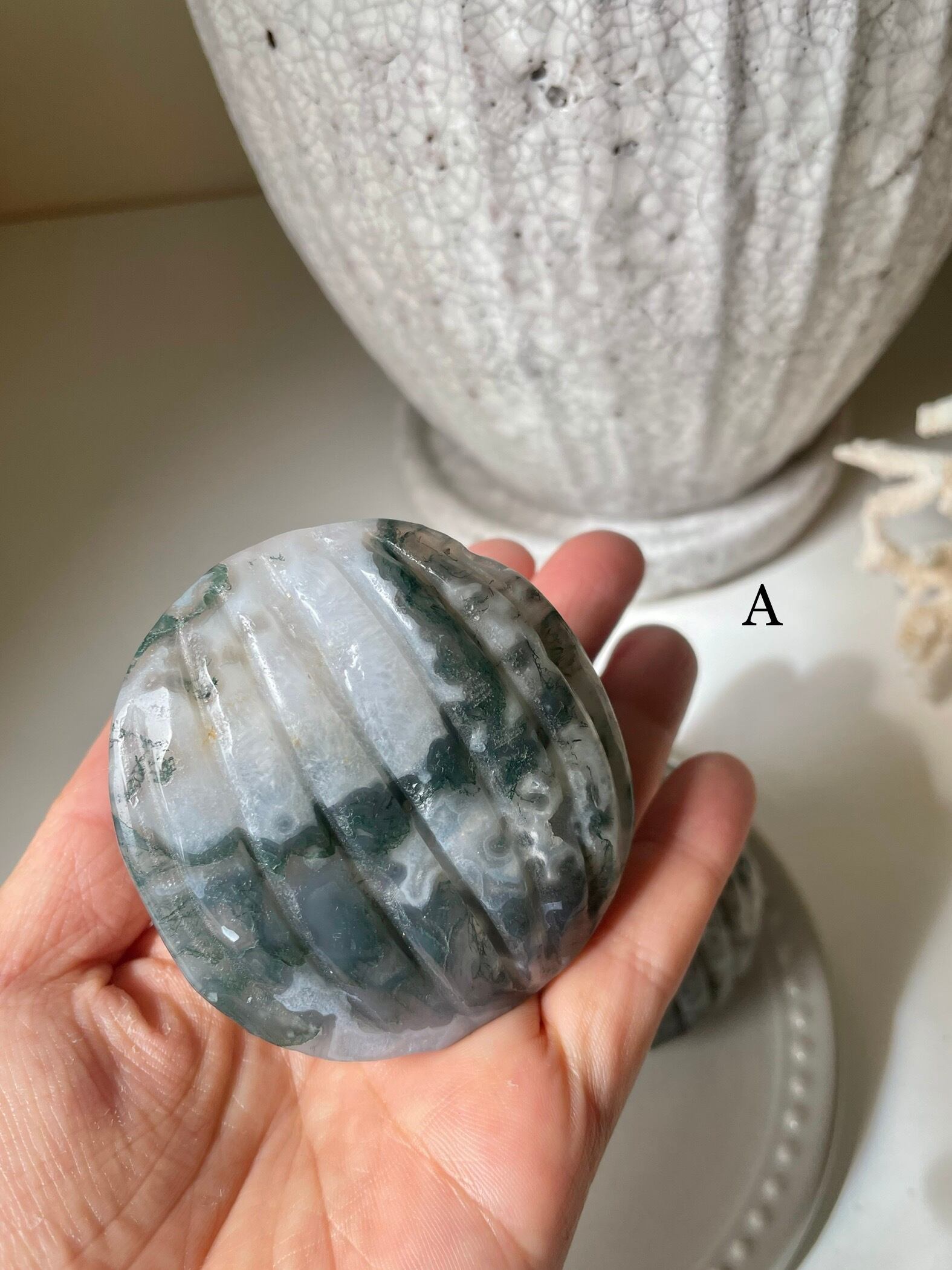 Moss Agate Shell / モスアゲート　貝
