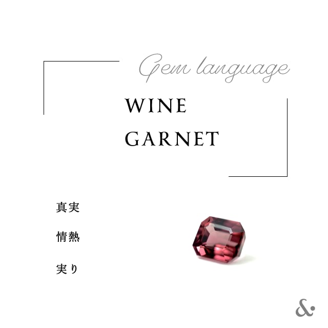 WINE GARNET ワインガーネット | &ante.アンダンテ