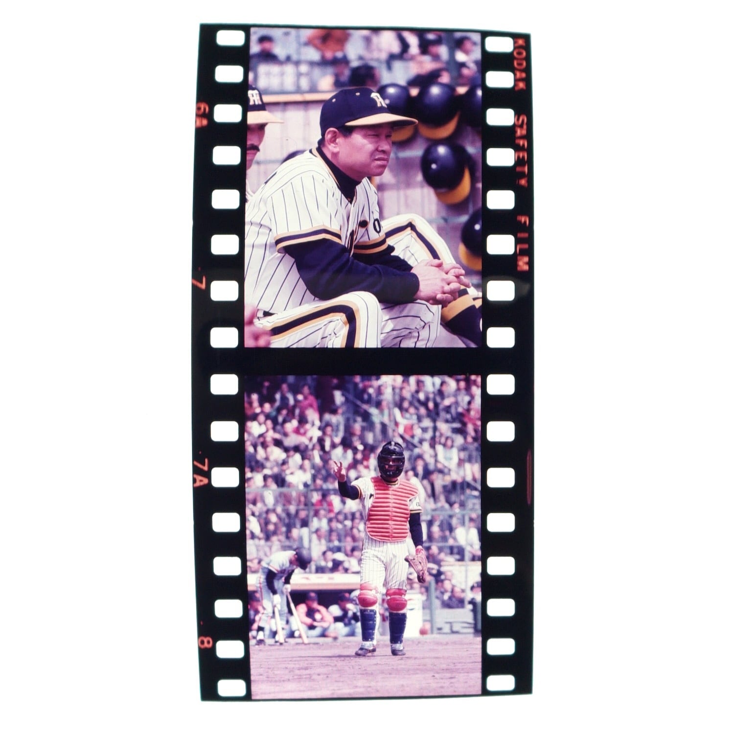 2450G2 吉田義男 田淵幸一 阪神タイガース 1970年代 古写真 35mm ポジ