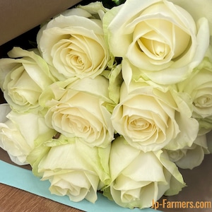 特別な贈り物　アニバーサリーローズ　～白バラ　50本以上から～