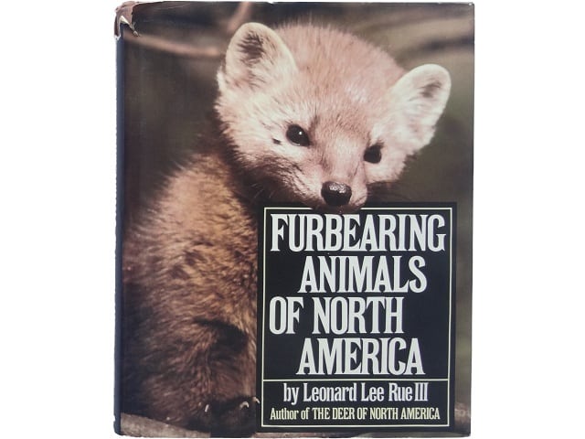 洋書◇自然界のカモフラージュ 動物写真集 本 カエル | 洋書堂