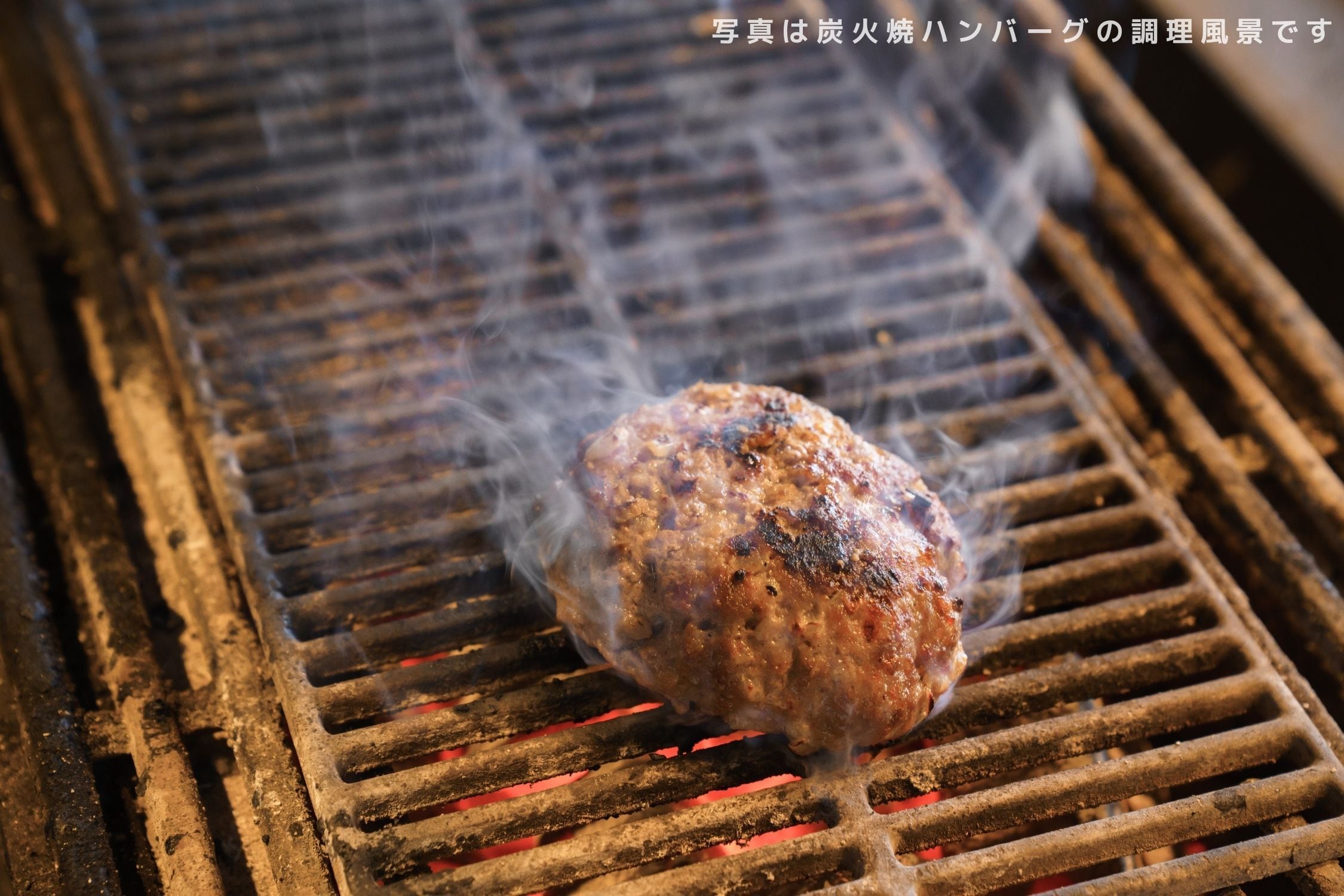 カレーハンバーグ | オイシイオト♡ネットショップ