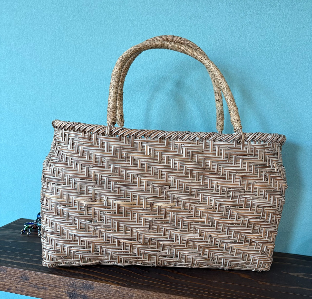 トウツルモドキのバック