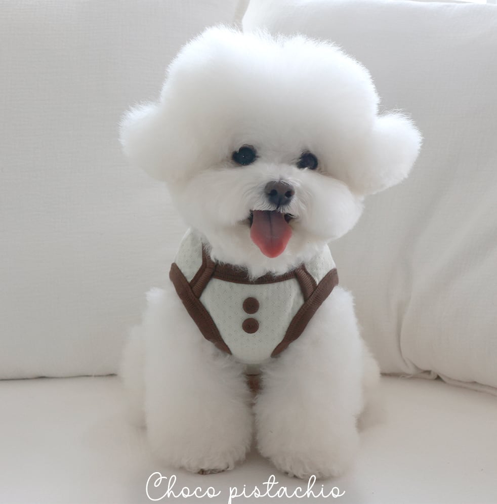 S/即納【near by us】cottage bonnet sleeveless set (choco pistachio)