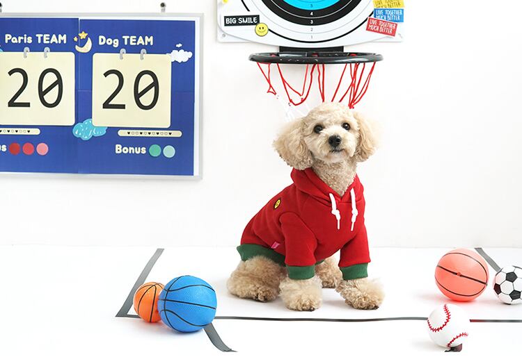 【SALE】big smile T-shirt S ~ 2XL 3color / 犬服 秋冬 新作 長袖 ドッグウェア 小型犬 中型犬 犬 服 暖かい 猫 ペット用品 ペット洋服