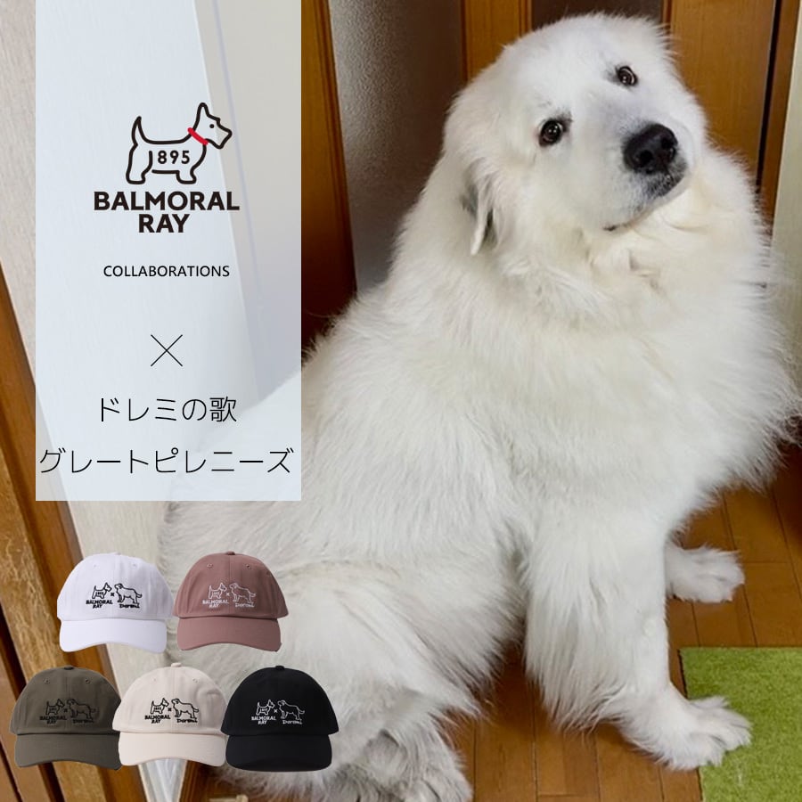 【レア】グレートピレニーズ【美品】 完全受注生産】ドレミの歌グレートピレニーズ×BALMORAL RAYコラボZIP