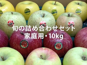 【10kg】旬のりんご詰め合わせ・ご家庭用