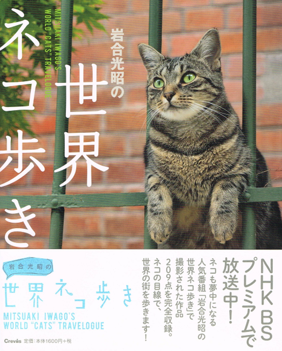 【予約販売】本 世界ネコ歩き（写真集）（帯付き） 京都三条サクラヤ 猫本サロン | その他
