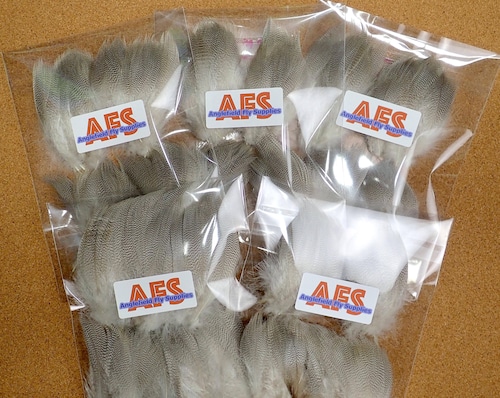 Gray Mallard 100pcs for Pro.Tyer Pack M size / グレー・マラード プロタイヤーパック 100pcs. M size