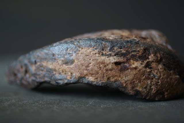 古代クジラ耳骨　Whale Otolith　1479